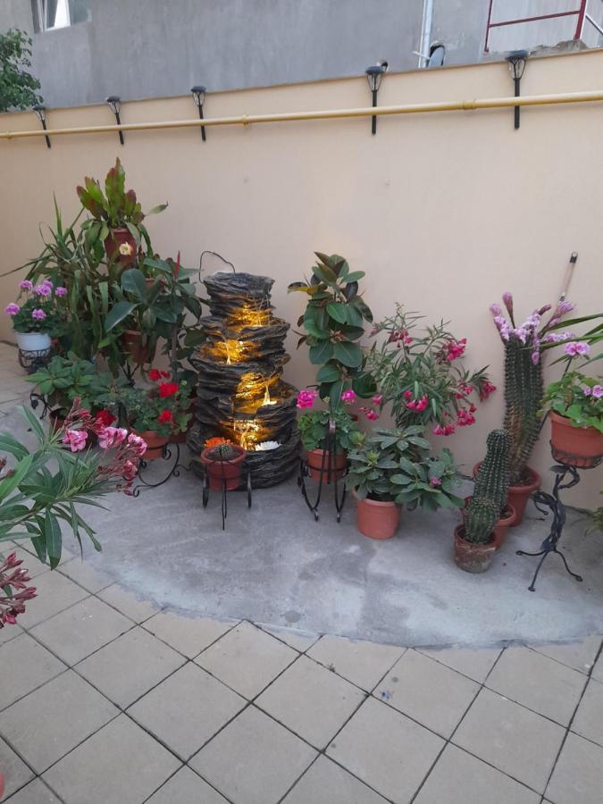 Vila Marius-Camere De Inchiriat Eforie Nord Exterior foto